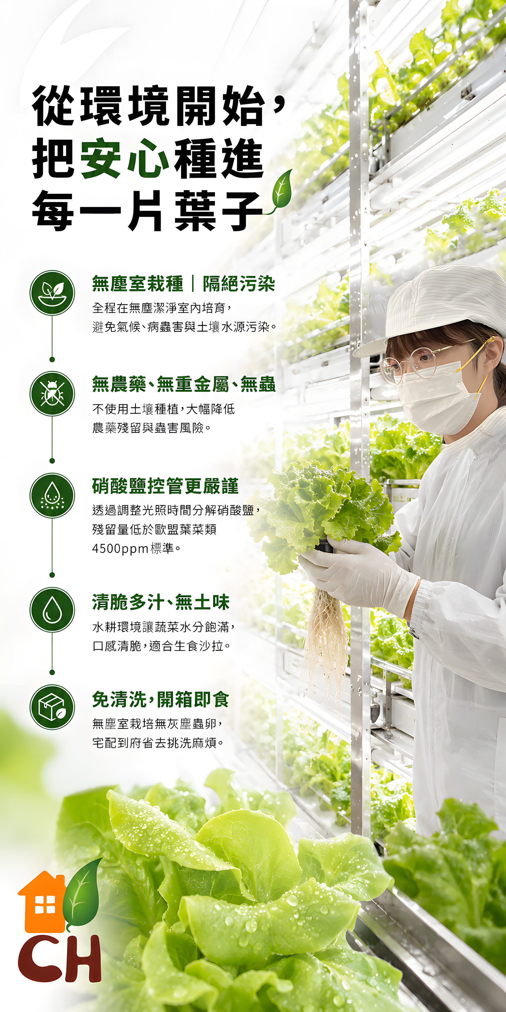 合家歡綜合生菜 5